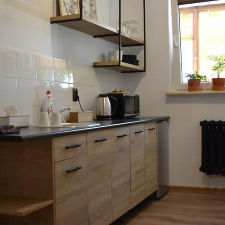公寓 N17 Apartament 克拉科夫